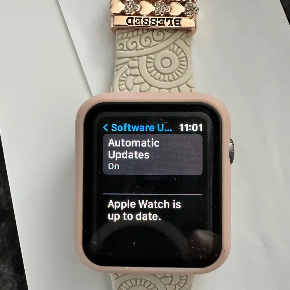 Apple Watch Series 3 with Rose Gold Textured Band